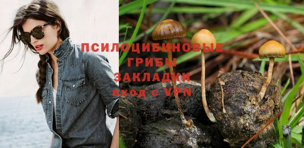 кокаин VHQ Заводоуковск