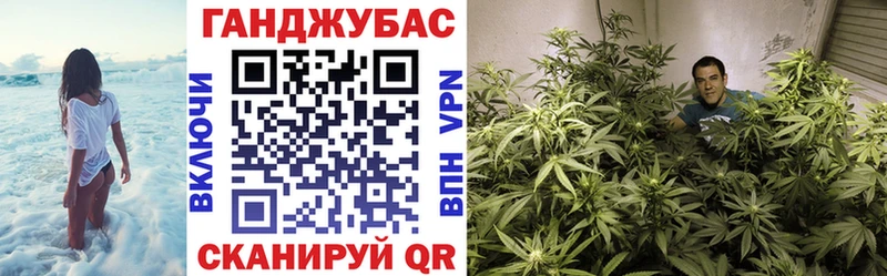 Купить закладки  Бокситогорск  Марихуана семена 